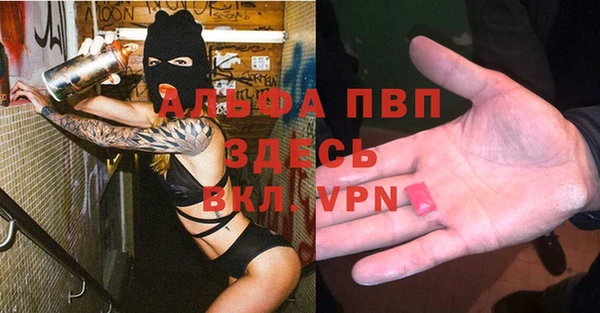 мет Алексин
