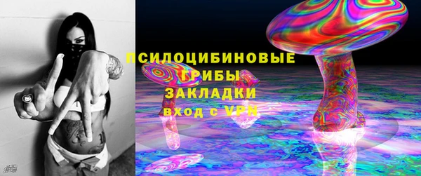 мет Алексин